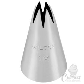 NL Wilton csővég 1M