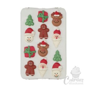 NL Wilton cukordekor karácsonyi szett 12db