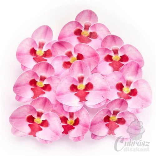 GY ostyavirág orchidea rózsaszín 10db-os