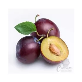ABS szilva aroma 1.2kg-os