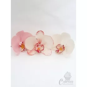 FK cukorvirág orchidea pillangó 1db