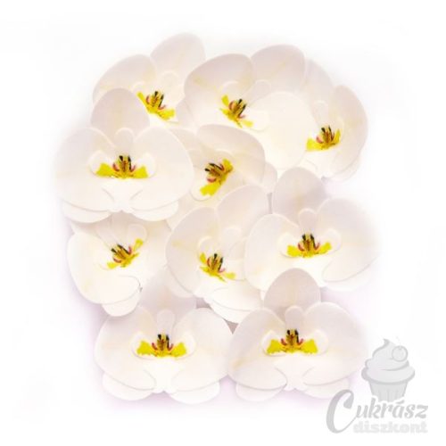 GY ostyavirág orchidea fehér 10db-os