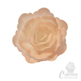 GY ostyarózsa barack 6db-os