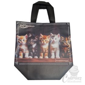 Ökotáska kiscicás 30*38*18cm
