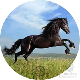 GY díszített ostyalap ló fekete 20cm