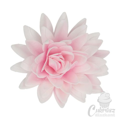 NL FC ostyavirág bazsarózsa nagy pink ombre 1db