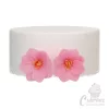 NL FC ostyavirág hortenzia mini pink 18db