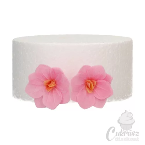 NL FC ostyavirág hortenzia mini pink 18db