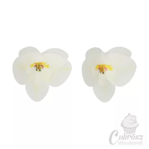 NL FC ostyavirág orchidea közepes fehér 10db
