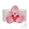 NL FC ostyavirág orchidea közepes pink 10db