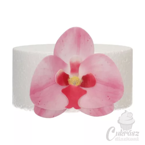 NL FC ostyavirág orchidea közepes pink 10db